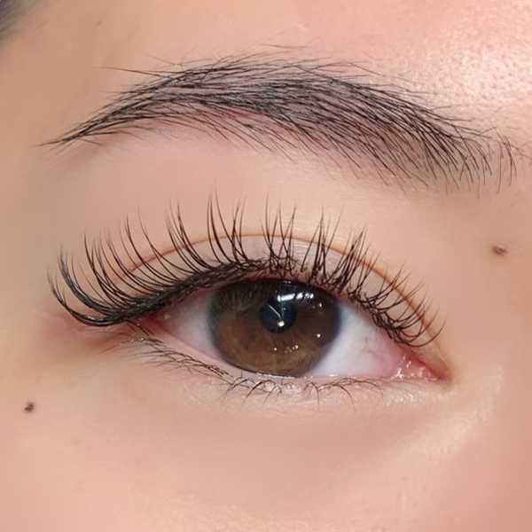 Natural Looking Lash Extensions